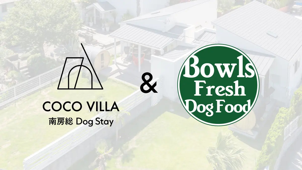 Bowls Fresh Dogfood コラボキャンペーン